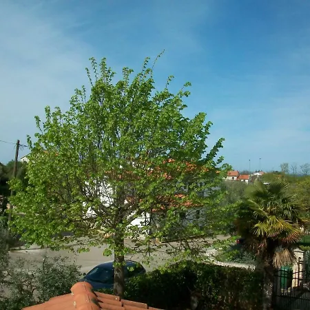 Katja Poreč